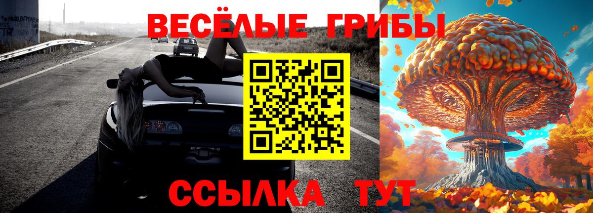 Галлюциногенные грибы Psilocybine cubensis  Вход с VPN  Магадан  Псилоцибиновые грибы Cubensis 